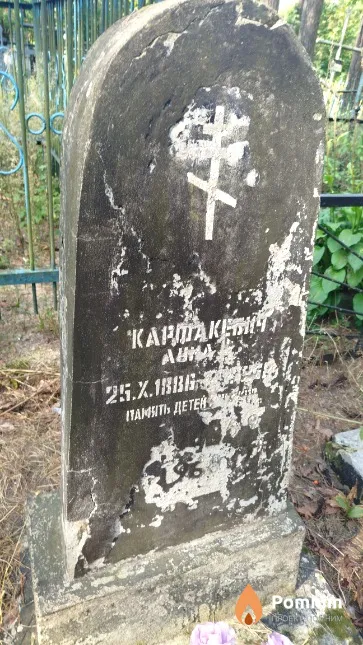Карфакевич Анна