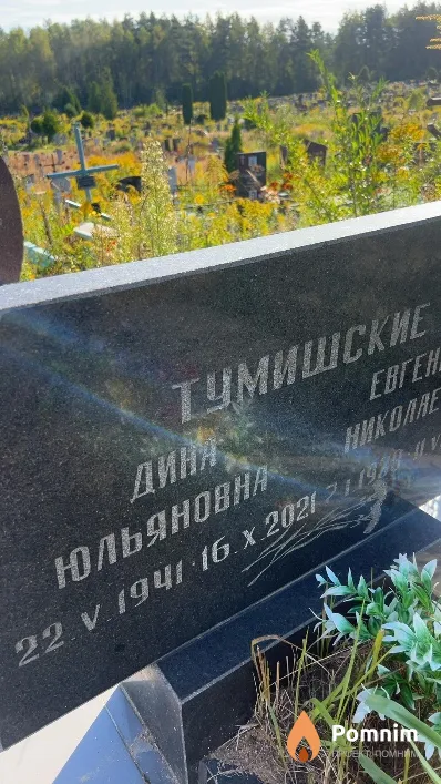 Тумишская Дина Юльяновна