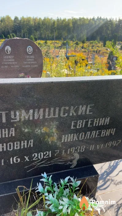 Тумишский Евгений Николаевич
