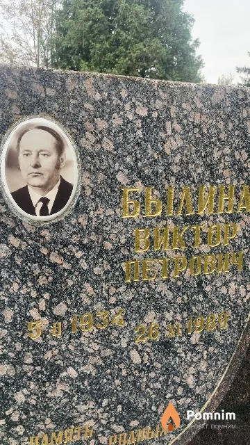 Былина Виктор Петрович