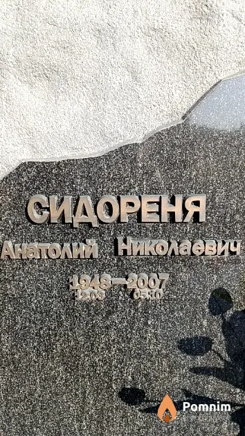 Сидореня Анатолий Николаевич
