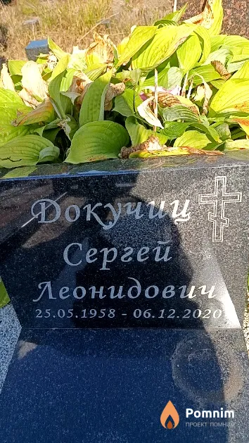 Докучиц Сергей Леонидович