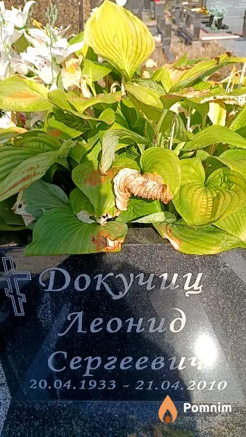 Докучиц Леонид Сергеевич