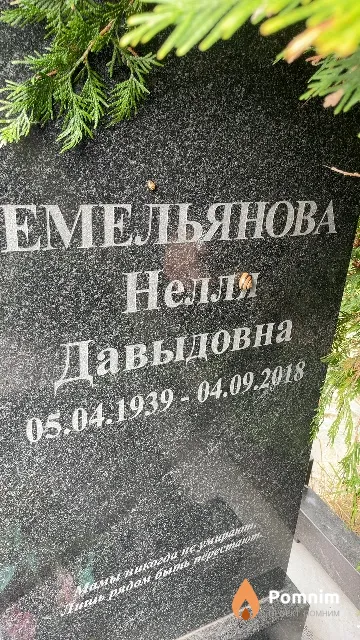 Емельянова Нелли Давыдовна