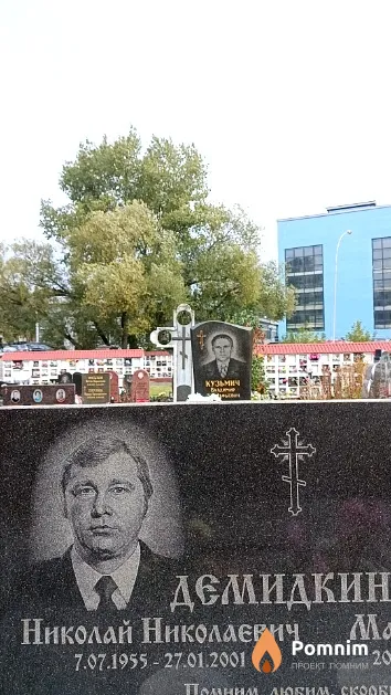 Демидкин Николай Николаевич