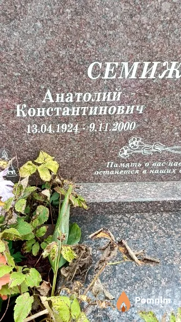 Семиженко Виталий Анатольевич