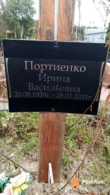 Портиенко Ирина Васильевна