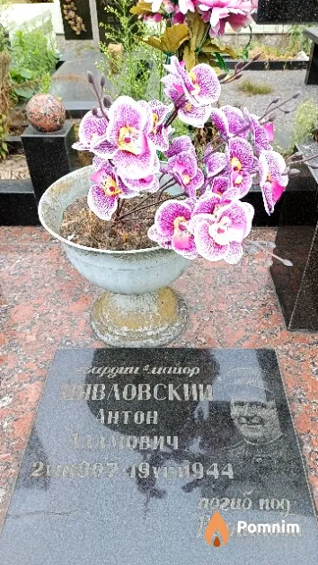Цявловский Антон Адамович