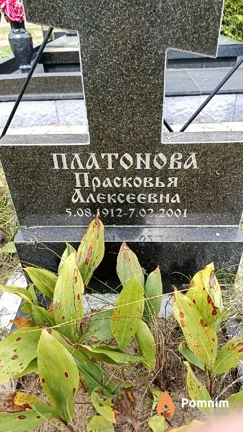 Платонова Прасковья Алексеевна