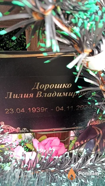 Дорошко Лилия Владимировна