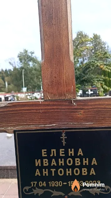 Антонова Елена Ивановна