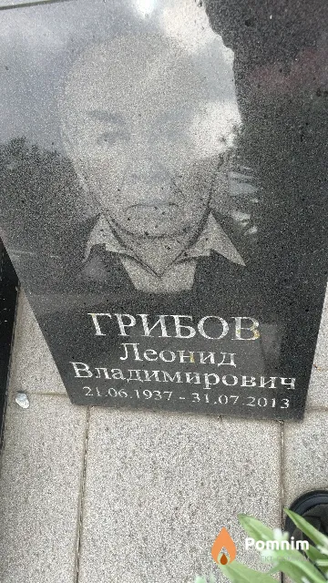 Грибов Леонид Владимирович