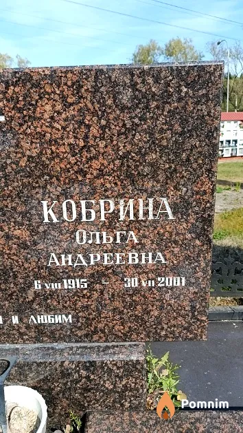 Кобрина Ольга Андреевна