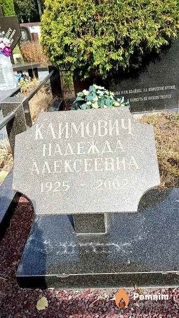 Климович Надежда Алексеевна