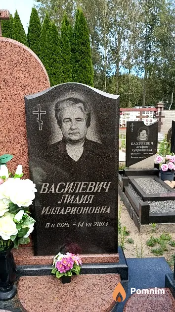 Василевич Лидия Илларионовна