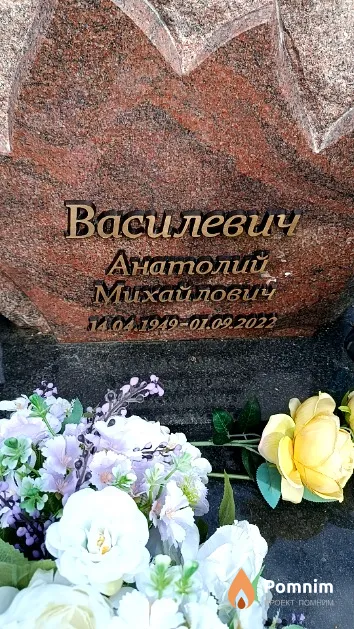 Василевич Анатолий Михайлович
