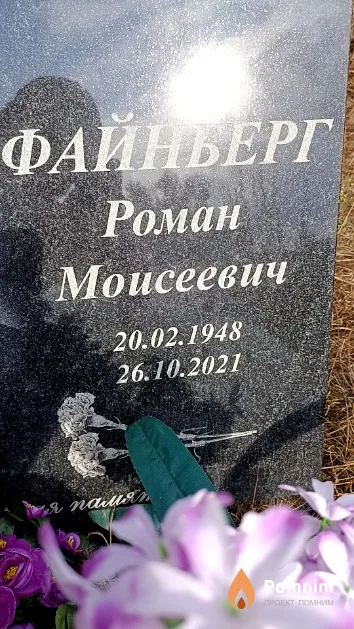 Файнберг Роман Моисеевич
