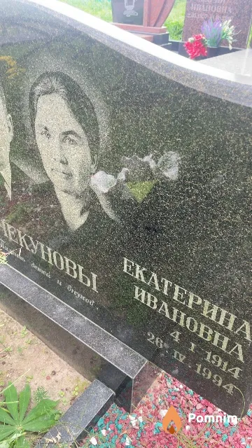 Чекунова Екатерина Ивановна