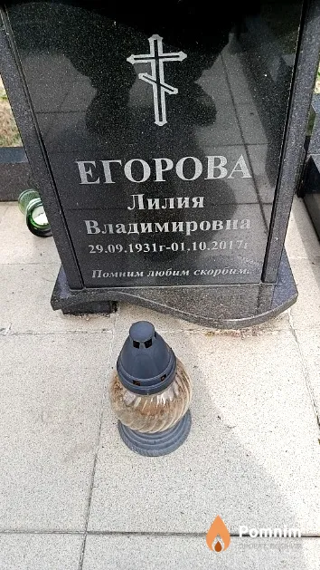 Егорова Лилия Владимировна