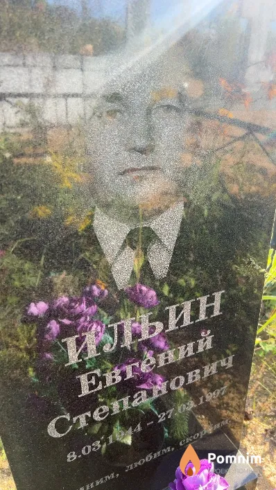Ильин Евгений Степанович