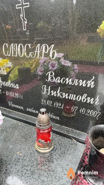 Слюсарь Василий Никитович
