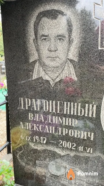 Драгоценный Владимир Александрович