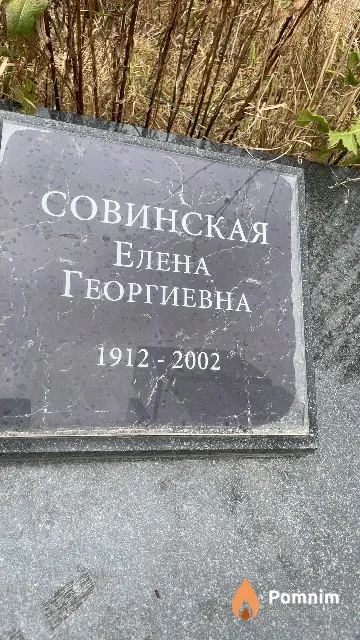 Совинская Елена Георгиевна