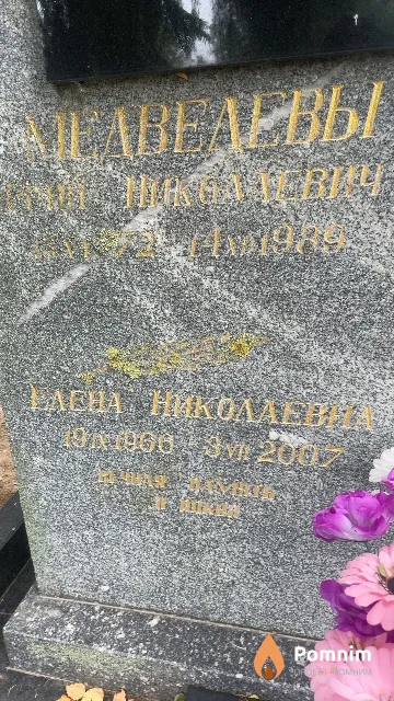 Медведева Елена Николаевна