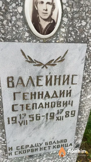 Валейнис Геннадий Степанович