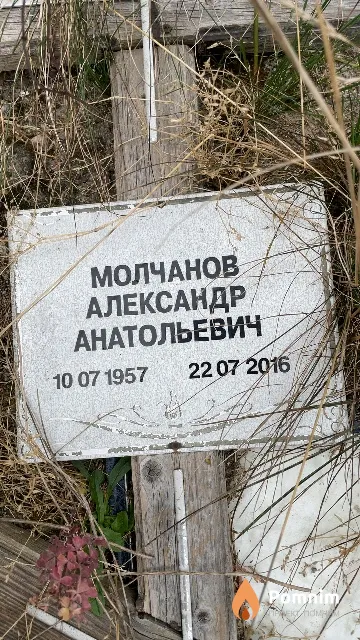 Молчанов Александр Анатольевич