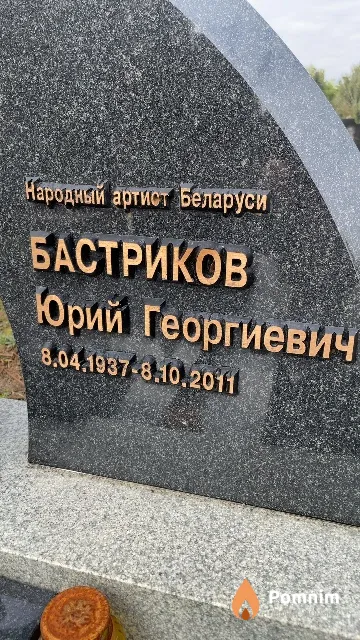 Бастриков Юрий Георгиевич