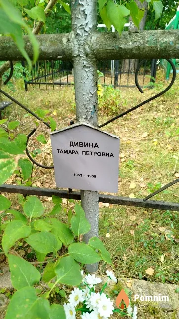 Дивина Тамара Петровна