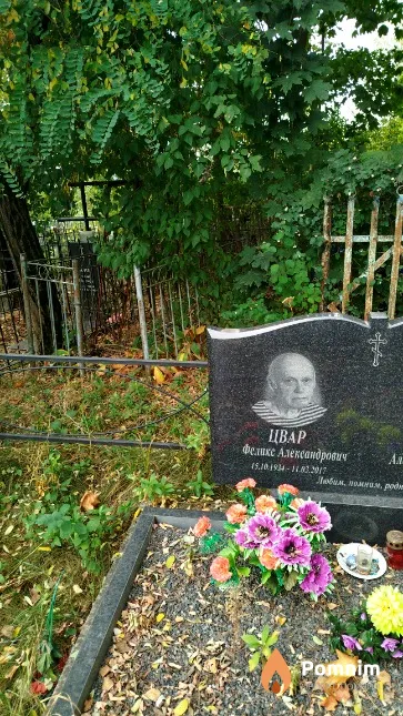 Цвар Феликс Александрович