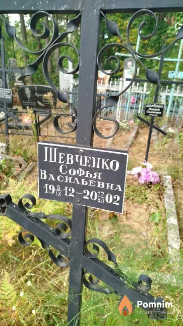 Шевченко Софья Васильевна