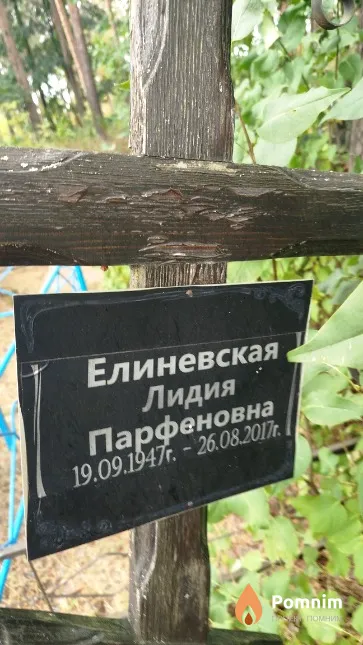Елиневская Лидия Парфеновна
