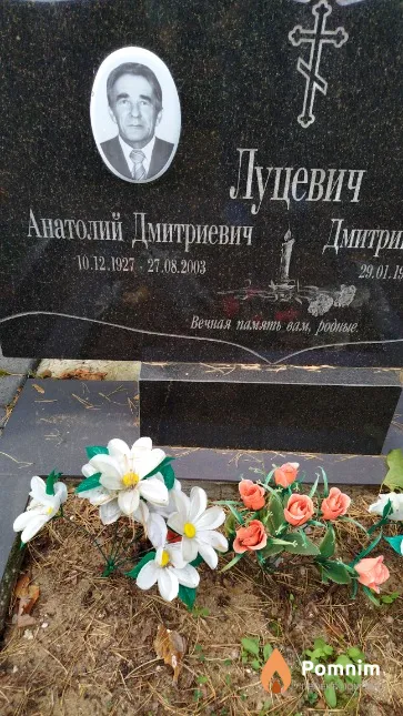 Луцевич Анатолий Дмитриевич