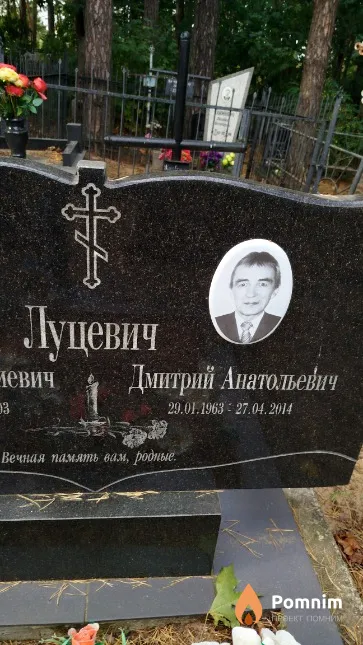 Луцевич Дмитрий Анатольевич