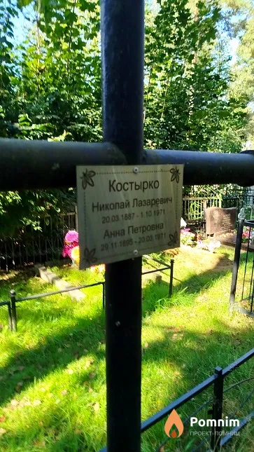 Костырко Николай Лазаревич