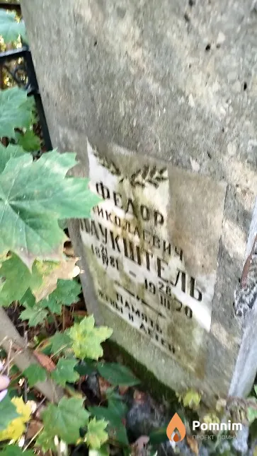 Пауштель Фёдор Николаевич