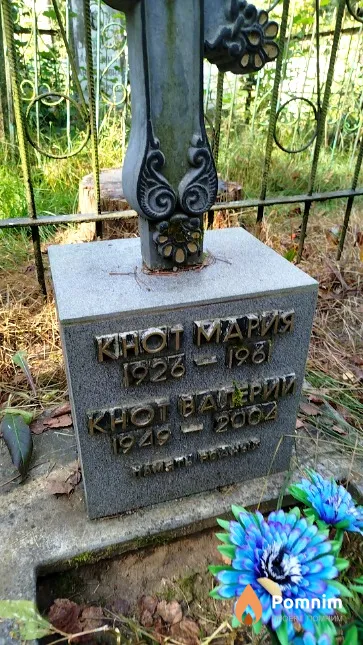 Кнот Валерий