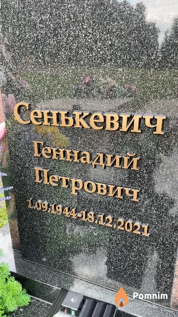Сенькевич Геннадий Петрович