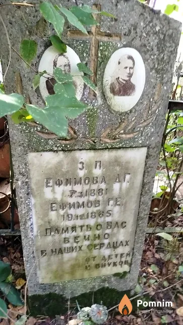 Ефимов Г. Е.