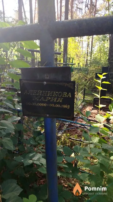 Алейникова Мария