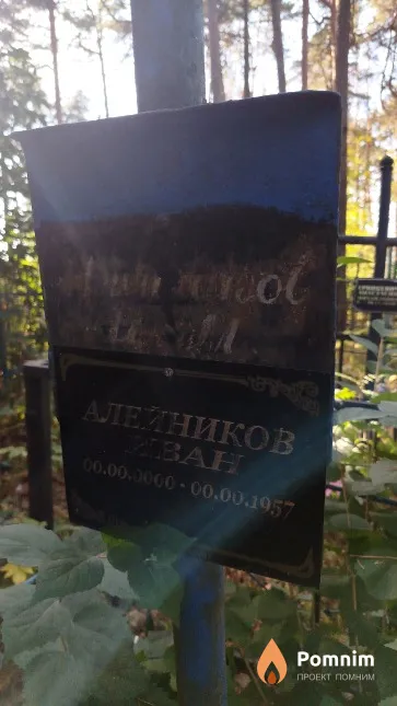 Алейников Иван