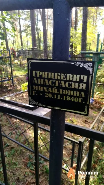 Гринкевич Анастасия Михайловна