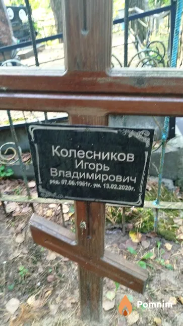 Колесников Игорь Владимирович