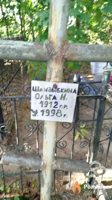Шандыбкина Ольга Н.