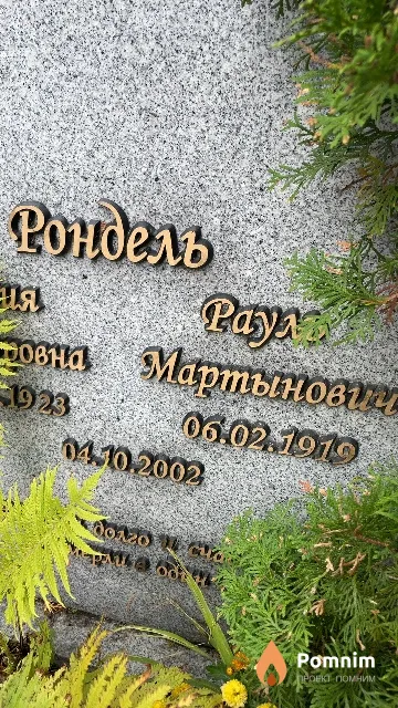 Рондель Рауль Мартынович