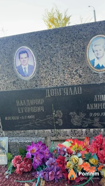 Довгялло Владимир Егорович
