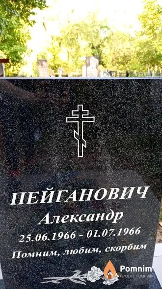 Пейганович Александр